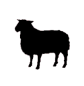 Shepherd Express